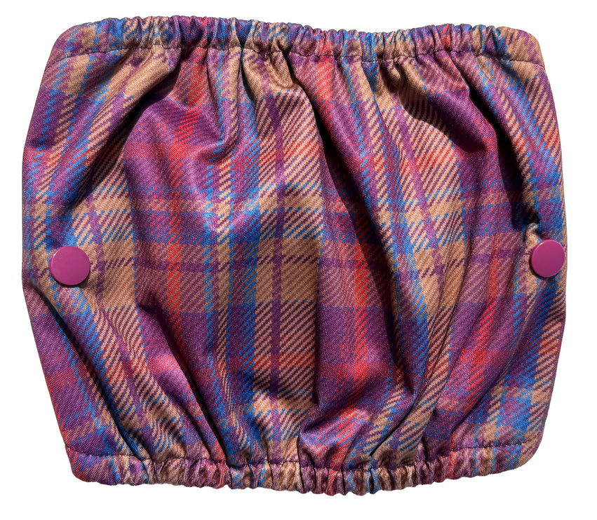 Nevis - Male Dog Belly Band