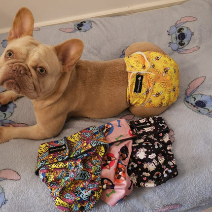 Fiji Female Dog Pants - NO TAILHOLE