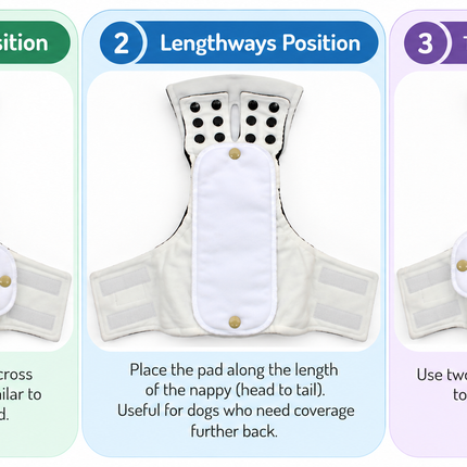 Adjustable Male Dog Nappies for Incontinence - Velcro