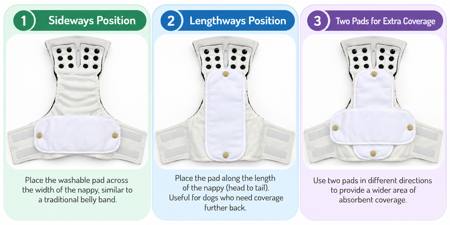 Adjustable Male Dog Nappies for Incontinence - Velcro