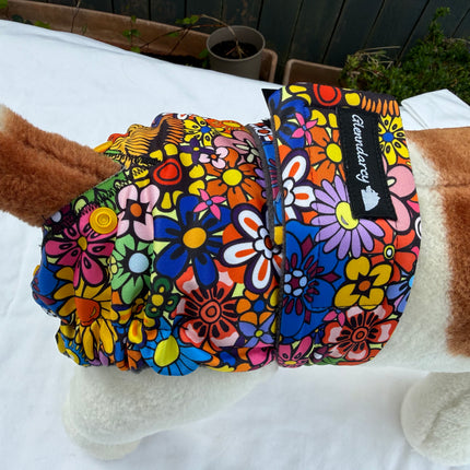 Flexi-Pants Female Dog Nappy