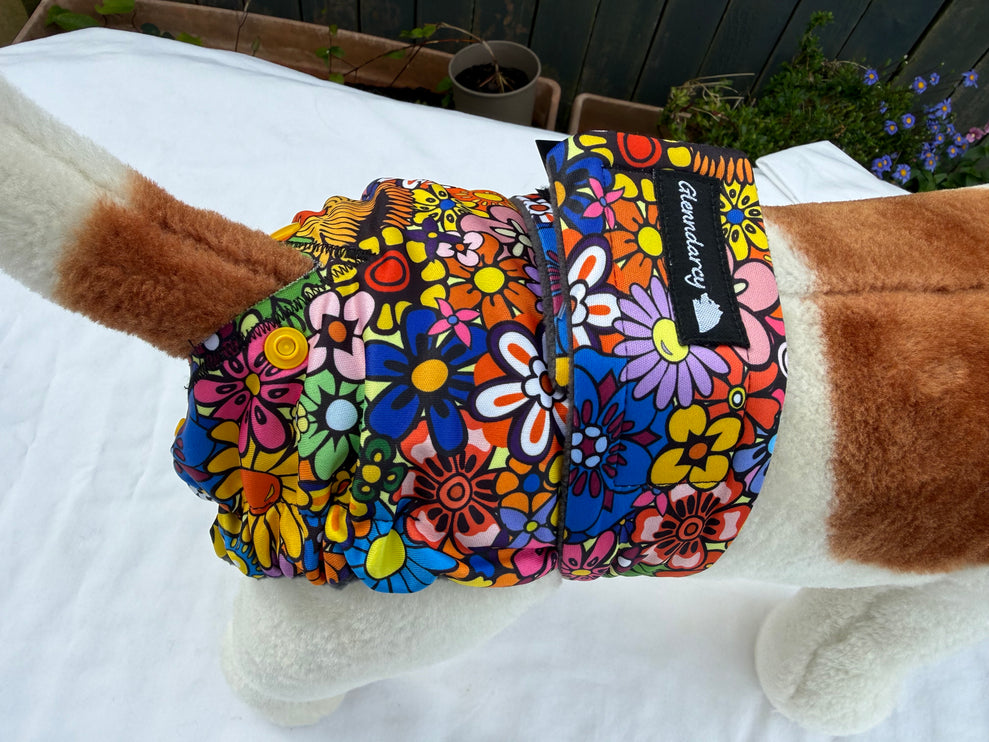 Flexi-Pants Female Dog Nappy