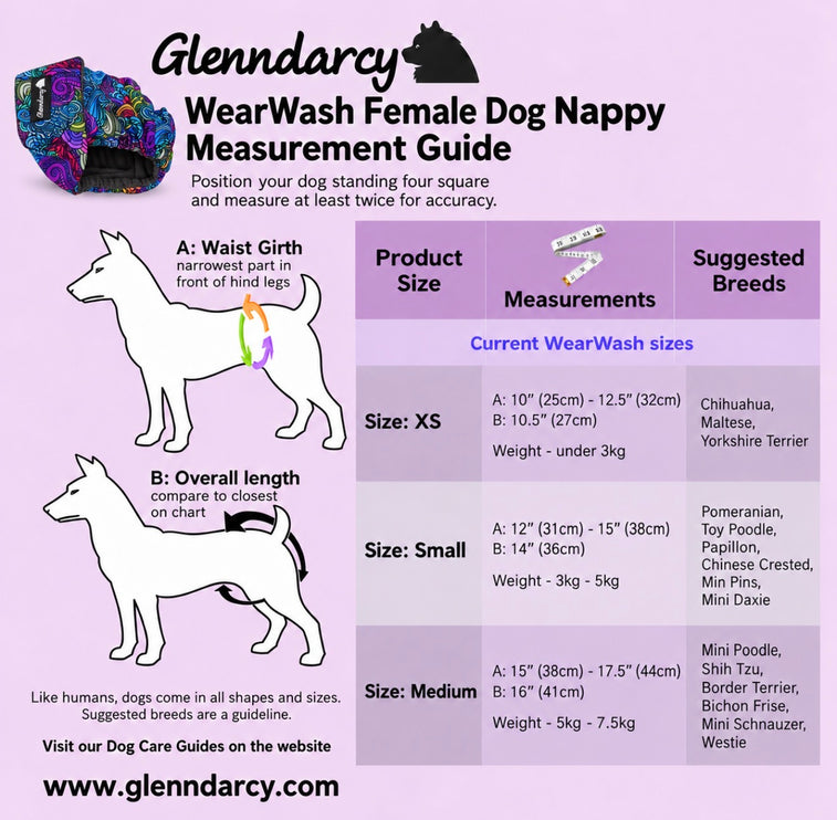 Glenndarcy WearWash - Washable Dog Nappy with Built-In Absorbency