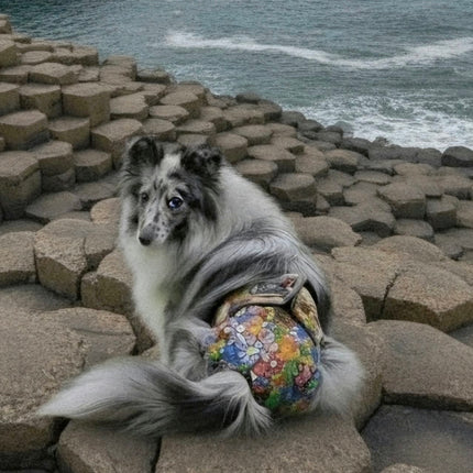 Flower Power -  Female Dog Season Nappies