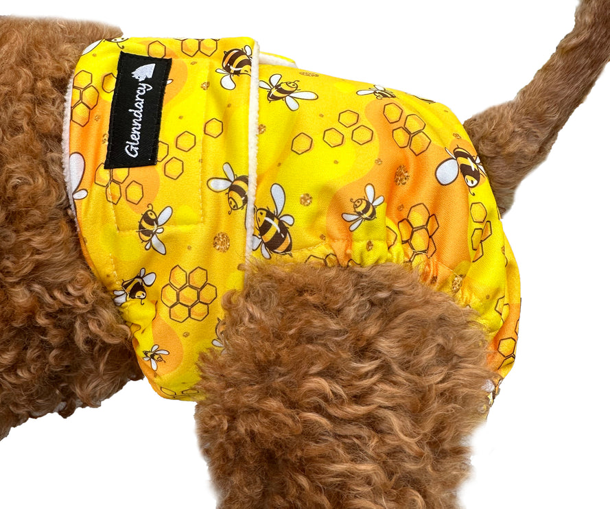 The Bee's Knees -  Female Dog Nappies
