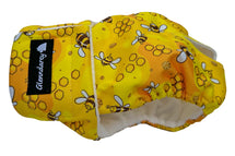 XS / No Pads
