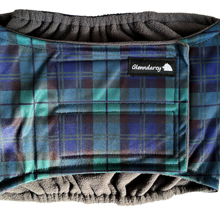 Black Watch Male Dog Belly Band