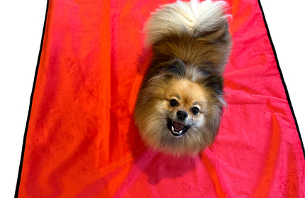 Washable Waterproof Blanket