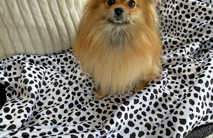Washable Waterproof Blanket