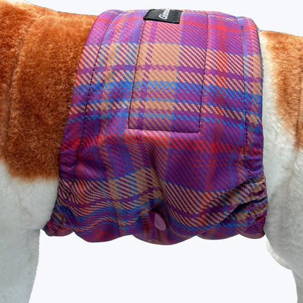 Nevis - Diamond Male Dog Belly Band