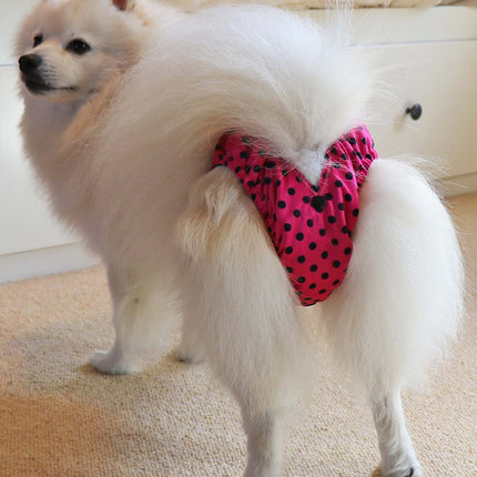 Rear view of a dog wearing Glenndarcy female dog season pants, showing how the nappy fits around the waist and rear. 