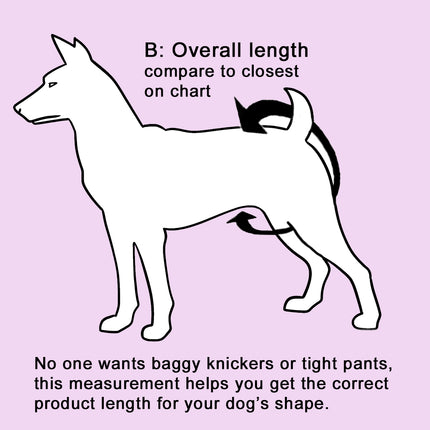 Close-up guide showing how to measure the overall length needed for a Glenndarcy female dog nappy.