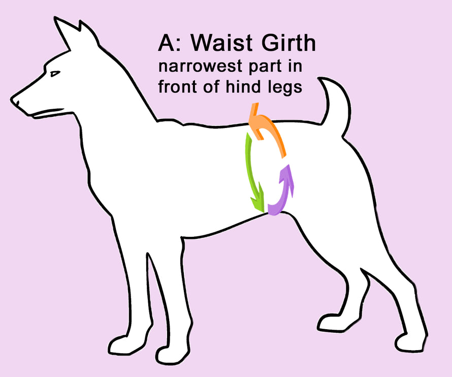 Rainbow Female Dog Nappy