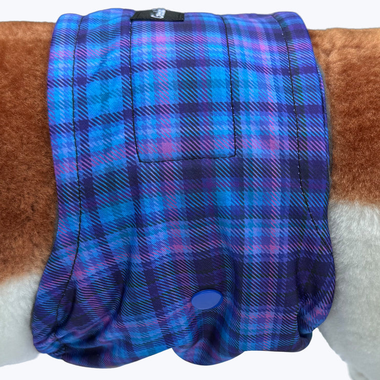 Heather Tide - Male Dog Belly Band