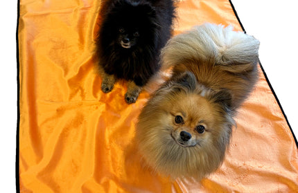 Washable Waterproof Blanket