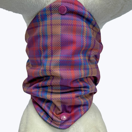 Nevis - Diamond Male Dog Belly Band