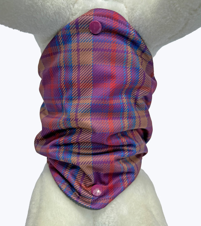 Nevis - Diamond Male Dog Belly Band
