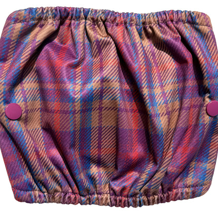 Nevis - Male Dog Belly Band