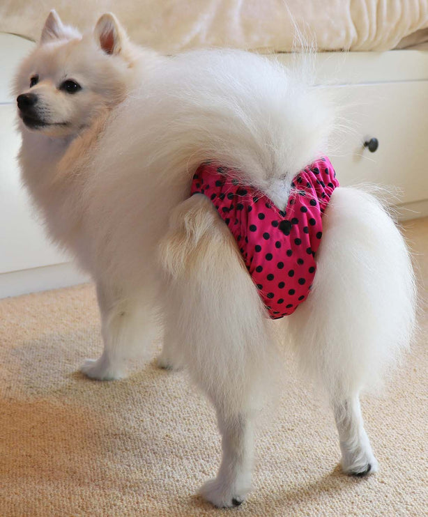 Planet Pink -  Female Dog Season Nappies