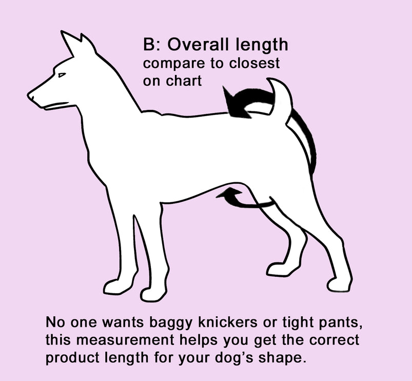 The Bee's Knees -  Female Dog Nappies