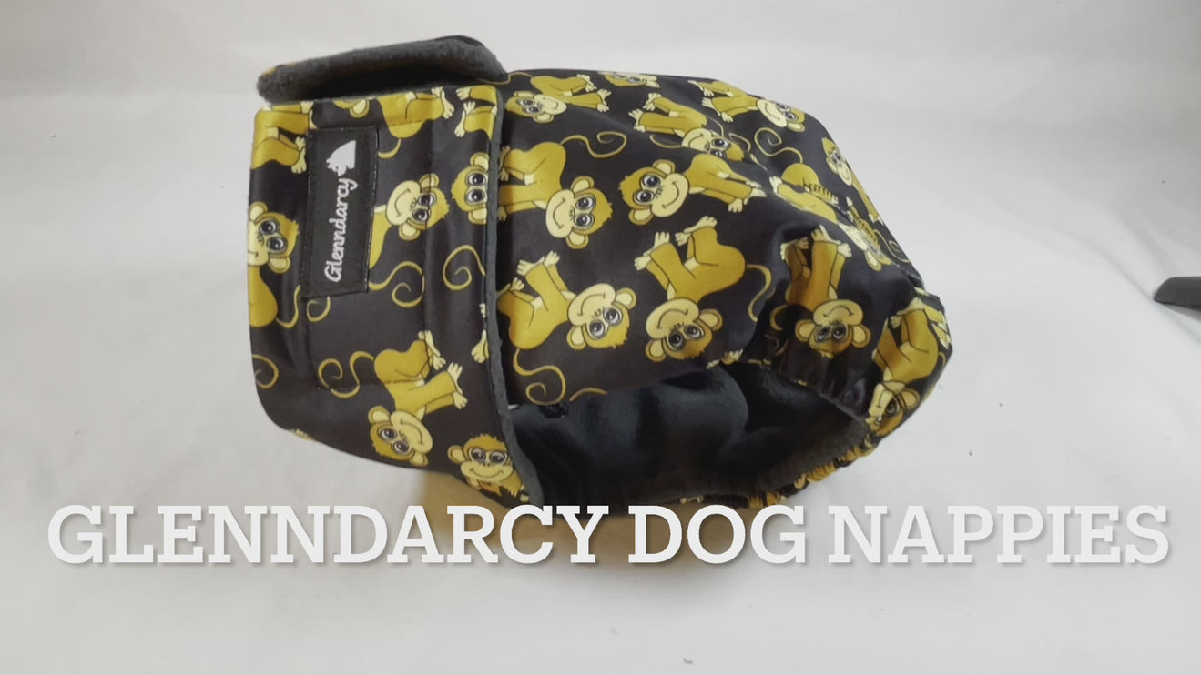 Black - Female Dog Nappy