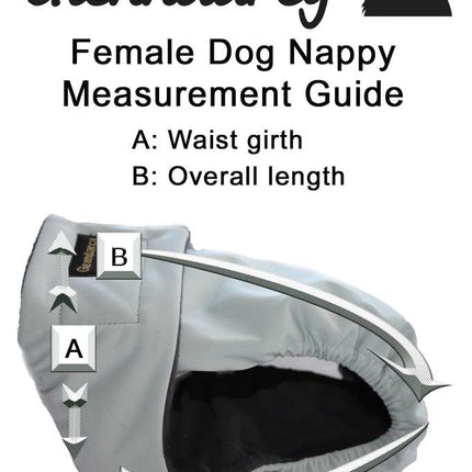Dove Grey Female Dog Pants - NO TAILHOLE - Poppers