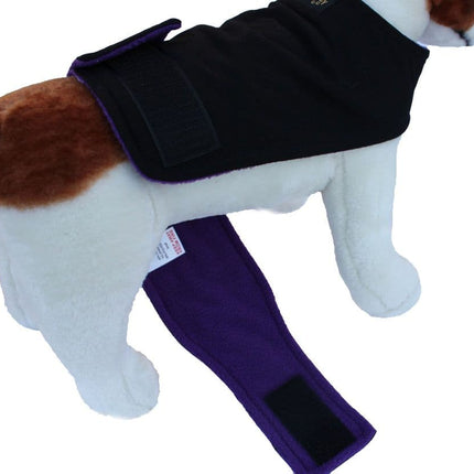 Male Dog Belly Band Outfit (2 Piece)