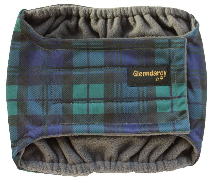 Black Watch - Male Dog Belly Band
