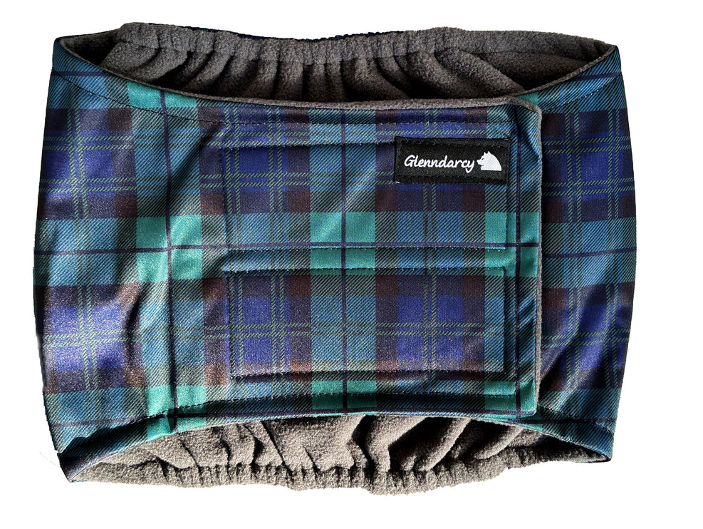 Black Watch - Male Dog Belly Band