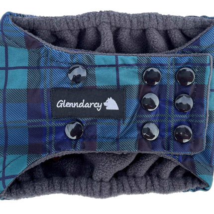 Black Watch Male Dog Belly Band - Poppers