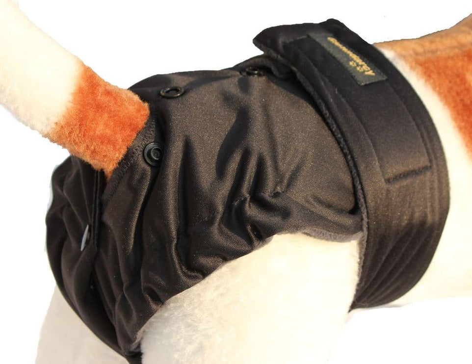 Flexi-Pants Female Dog Nappy
