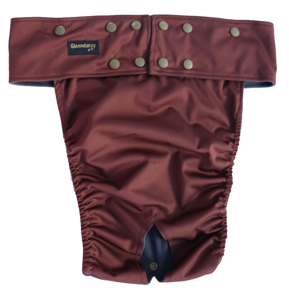 Brown Female Dog Nappy - Poppers fastening