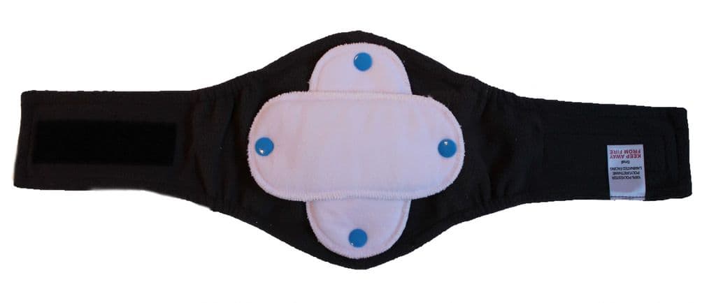 Black Diamond Male Dog Belly Band