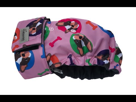 Flexi-Pants Female Dog Nappy