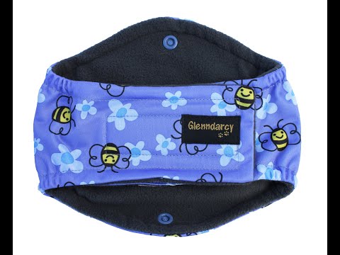 Supernova Diamond Male Dog Belly Band