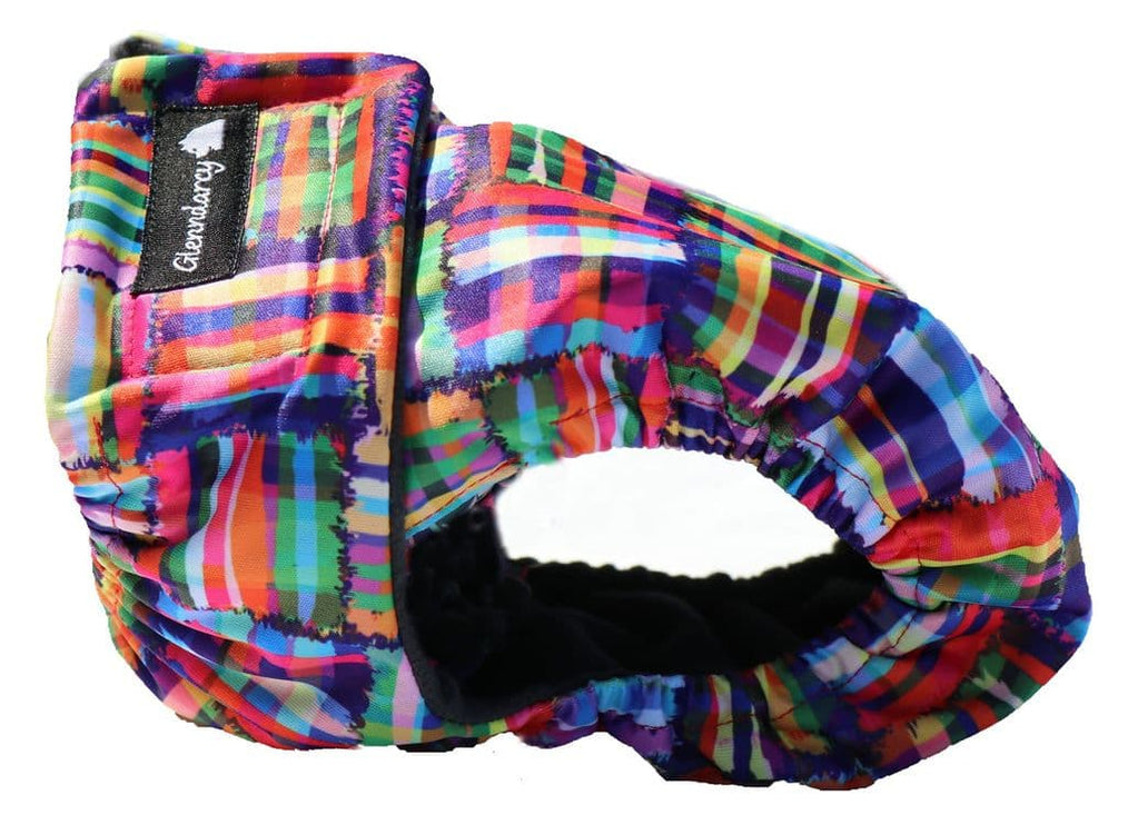 Patchwork Female Dog Pants - NO TAILHOLE