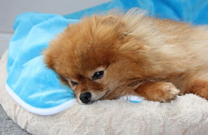 Washable Waterproof Blanket