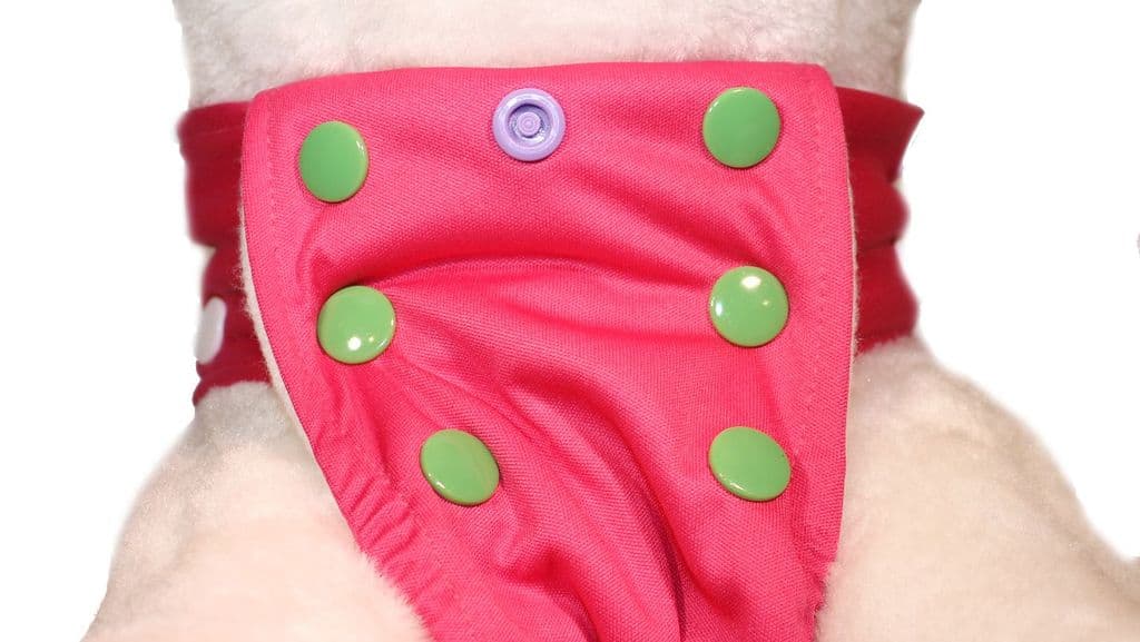 Adjustable Smarty Pants - Poppers Waistband