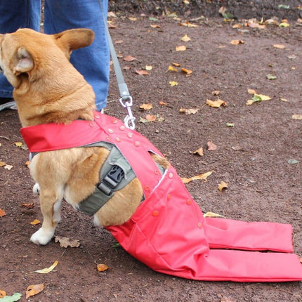Dog Mobility Bags